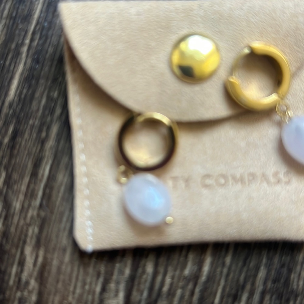 Twenty Compass Earrings - Picture 2 of 3
